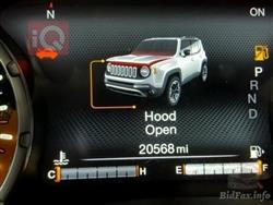 جيب رينيجيد